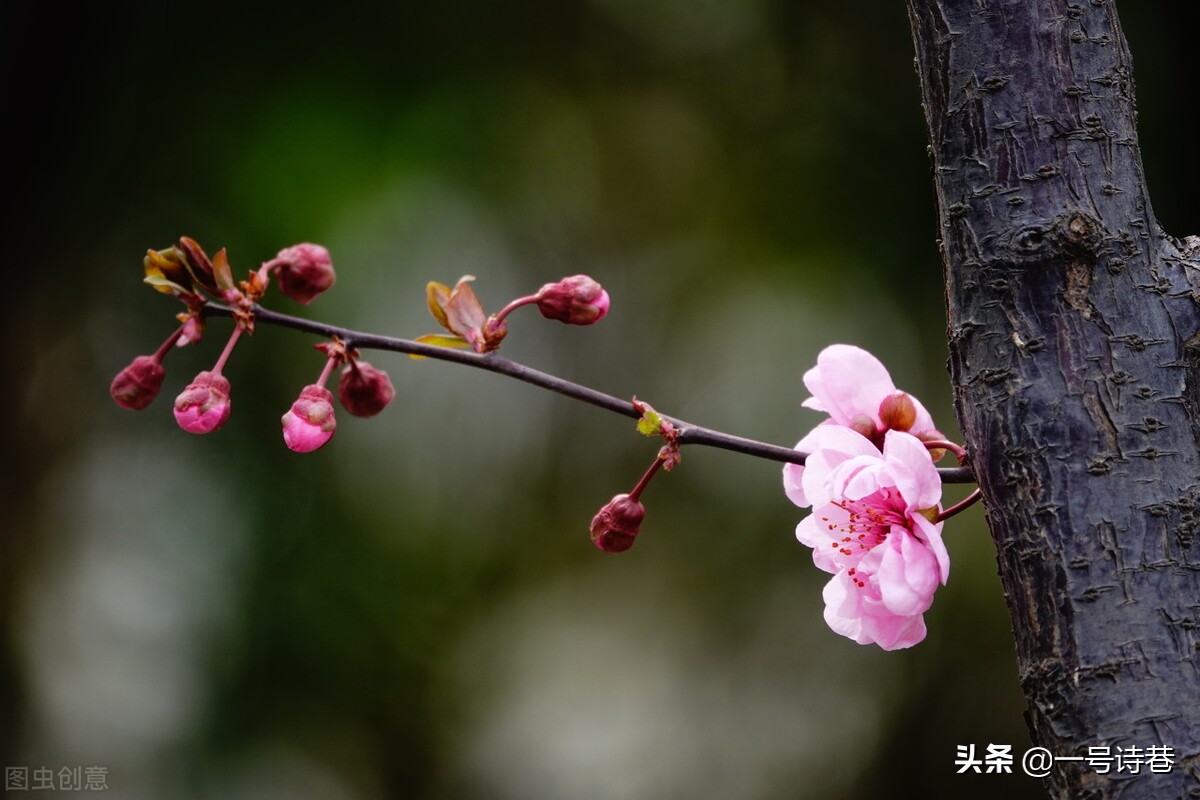 有关清明的诗句有哪些，中秋节的诗句古诗大全